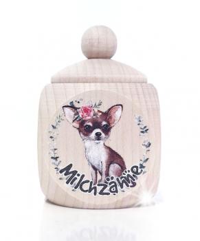 Chihuahua Mädchen MZD